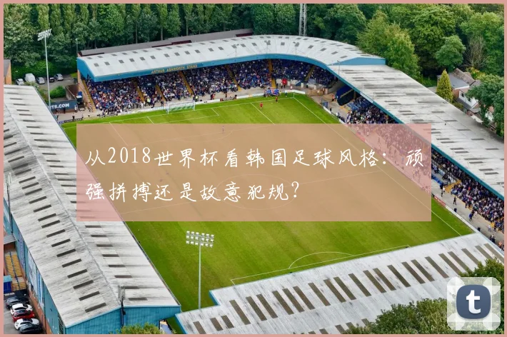 从2018世界杯看韩国足球风格：顽强拼搏还是故意犯规？
